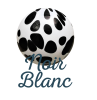 bijoux noir et blanc