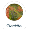 pierre unakite 100px